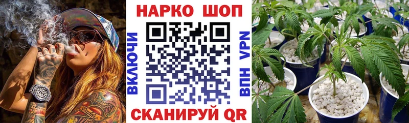 Наркотические вещества Новозыбков КОКАИН  Меф мяу мяу  ОМГ ОМГ ссылки  Каннабис 