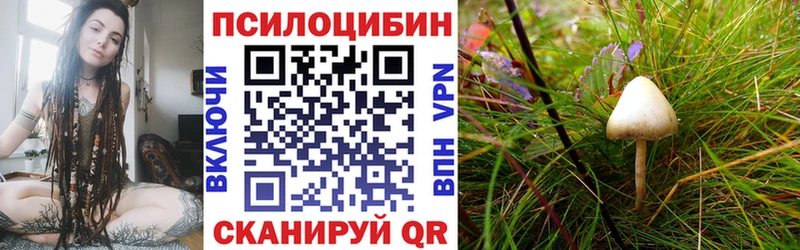Галлюциногенные грибы ЛСД  Новозыбков 