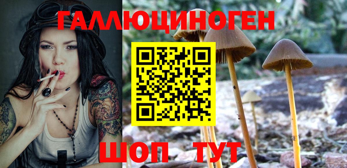 Псилоцибиновые грибы MAGIC MUSHROOMS  Вход с VPN  Новозыбков 