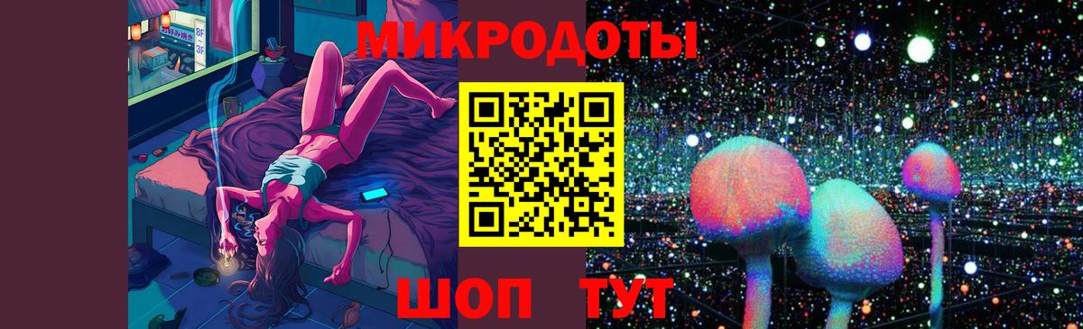 Псилоцибиновые грибы Cubensis Новозыбков